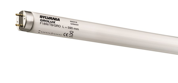 Sylvania Grolux T8 58W 1500mm G13 i gruppen Inomhus / Växtbelysning hos LED Konsulten i Karlstad AB (0001525)